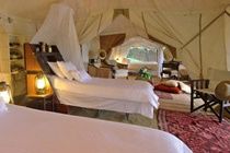 Cottars 1920S Safari Camp Hotell Maasai Mara Eksteriør bilde